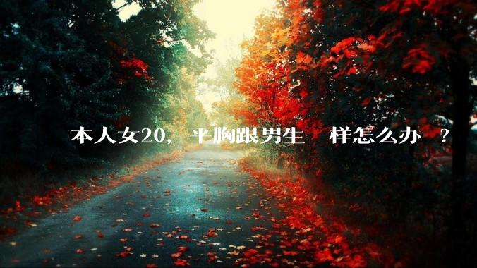 本人女20，平胸跟男生一样怎么办 ?