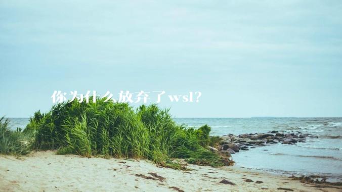 你为什么放弃了wsl？