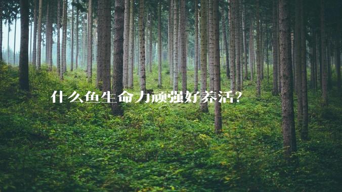 什么鱼生命力顽强好养活？