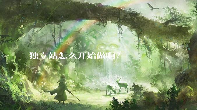 独立站怎么开始做啊？